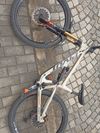 Pivot Firebird
