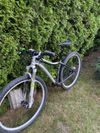 Specialized Jett Expert 29 šedá/bílá/zelená