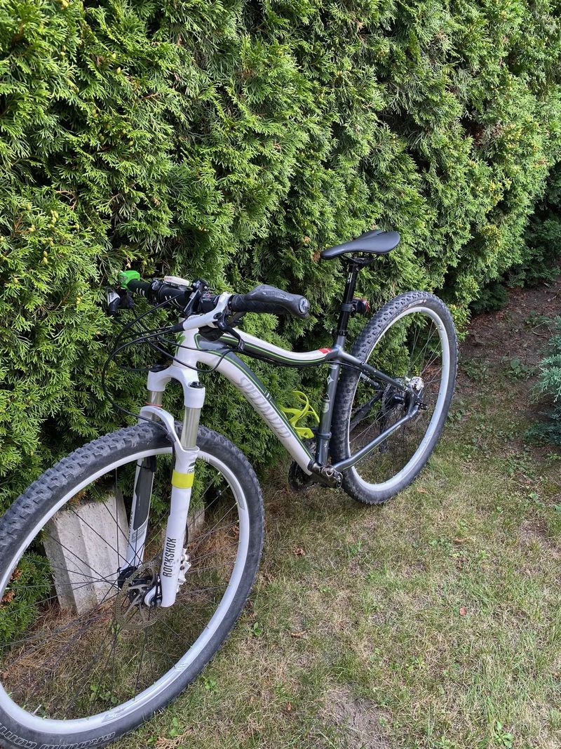 Specialized Jett Expert 29 šedá/bílá/zelená