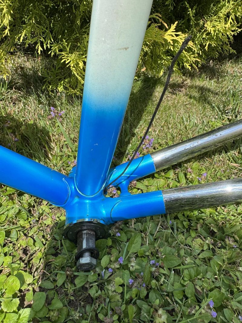 Olmo Leader Columbus Air/SL/SP