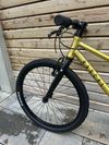 Rascal 24" gold