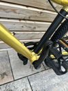 Rascal 24" gold