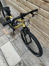Rascal 24" gold