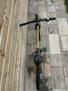 Rascal 24" gold