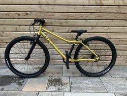 Rascal 24" gold