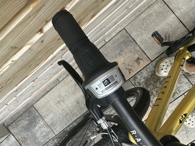 Rascal 24" gold