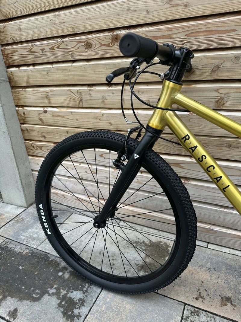 Rascal 24" gold