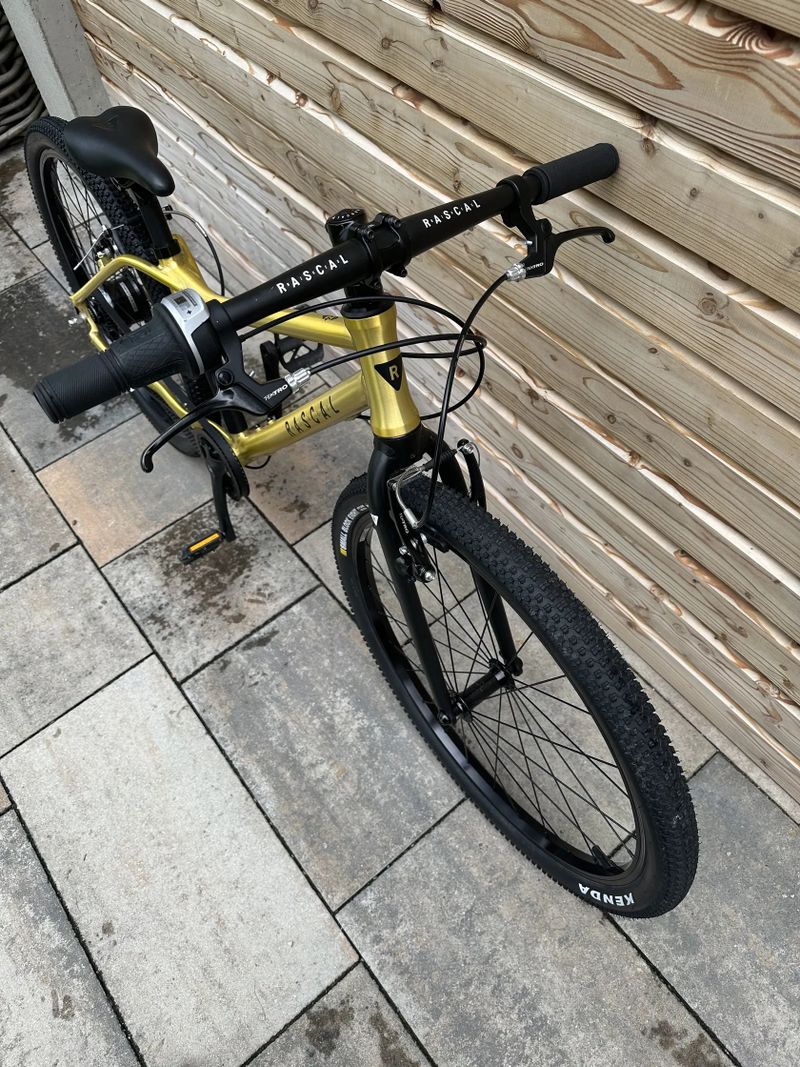 Rascal 24" gold