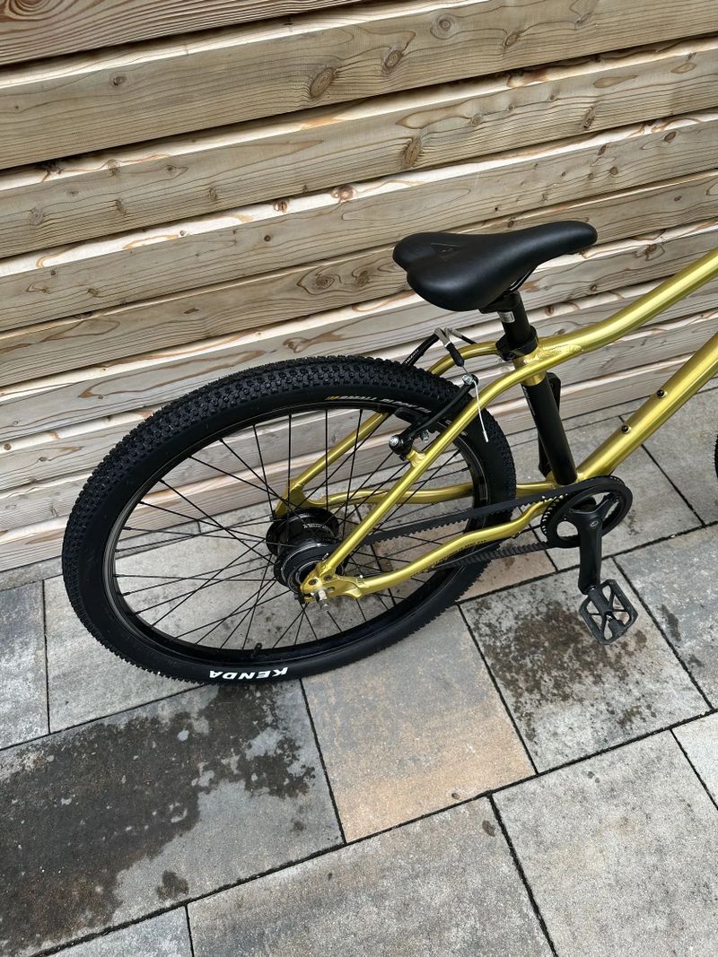 Rascal 24" gold