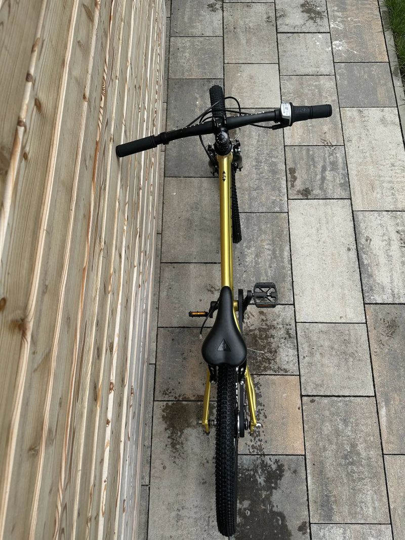 Rascal 24" gold