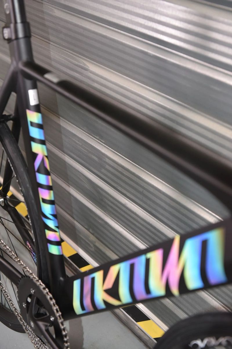 Unknown Singularity Black Chameleon Edition - fixie / single speed kolo 🎨 Více barev a velikostí 