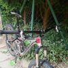 Giant Trance 27,5"