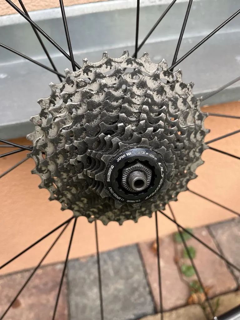 SHIMANO WH-RS100 s kazetou i pláštěmi Vittoria