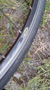 Silnicni kolo Merida Race Lite 905