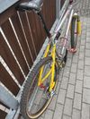Rocky Mountain Element 1996, XTR, Syncros, Hügi, L 19”