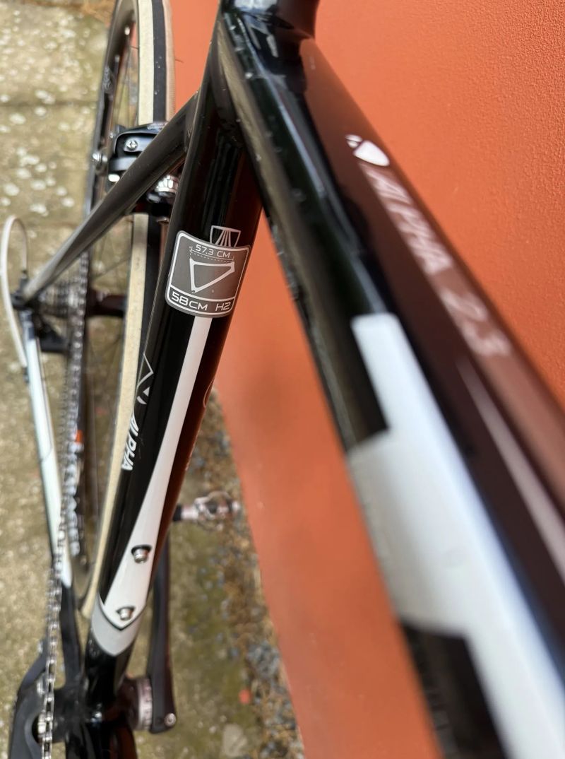 TREK