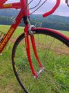 Cannondale Silk Road 