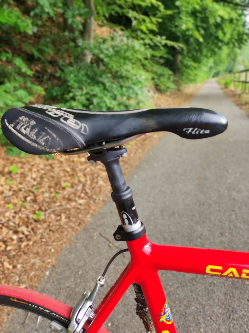 Cannondale Silk Road 