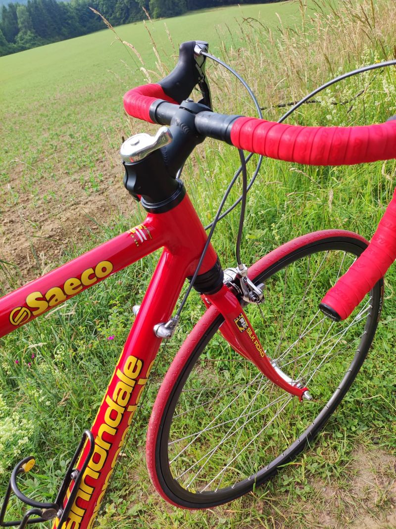 Cannondale Silk Road 