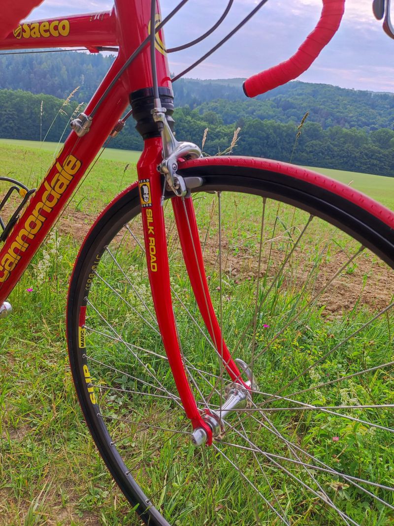 Cannondale Silk Road 
