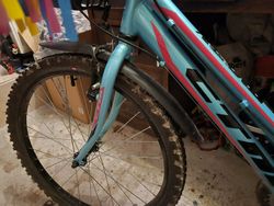 CTM mony 24"