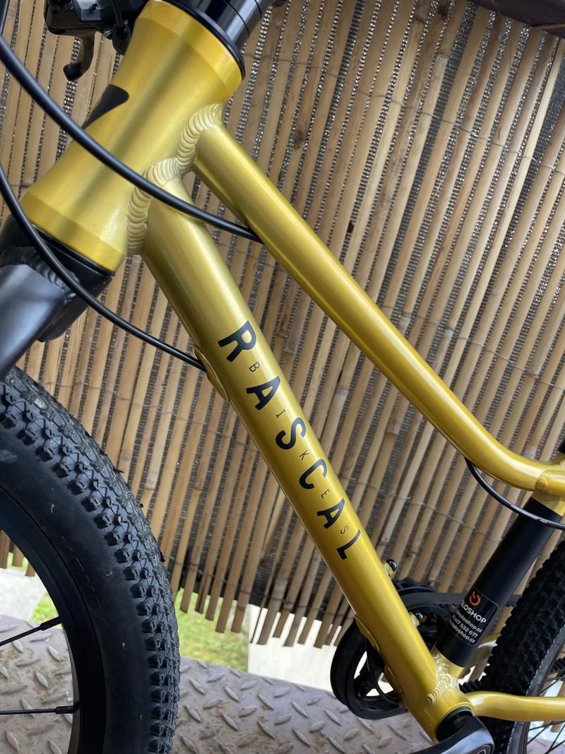Dětské kolo Rascal 20”