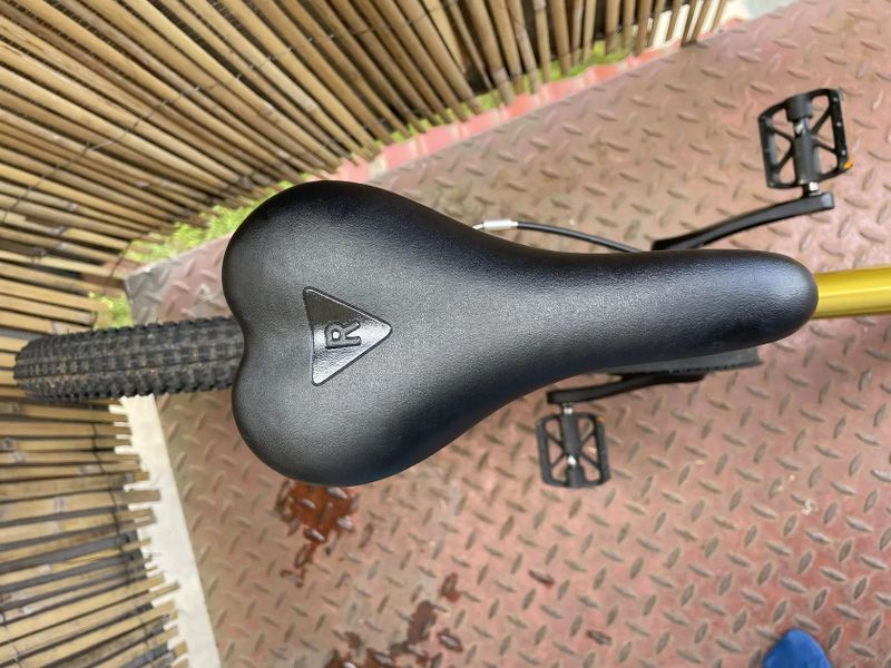 Dětské kolo Rascal 20”