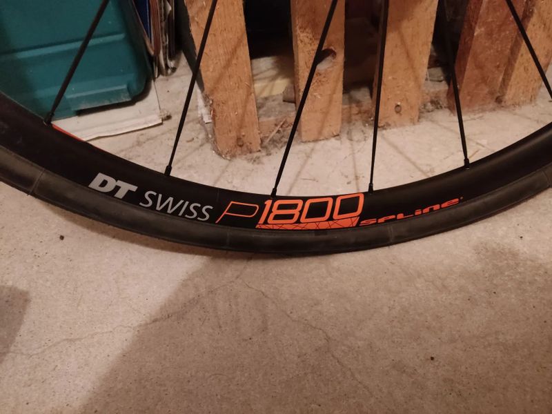 Prodám sadu kol DT swiss p1800 spline, kazeta, kotouče, pláště - VŠE NEJETÉ