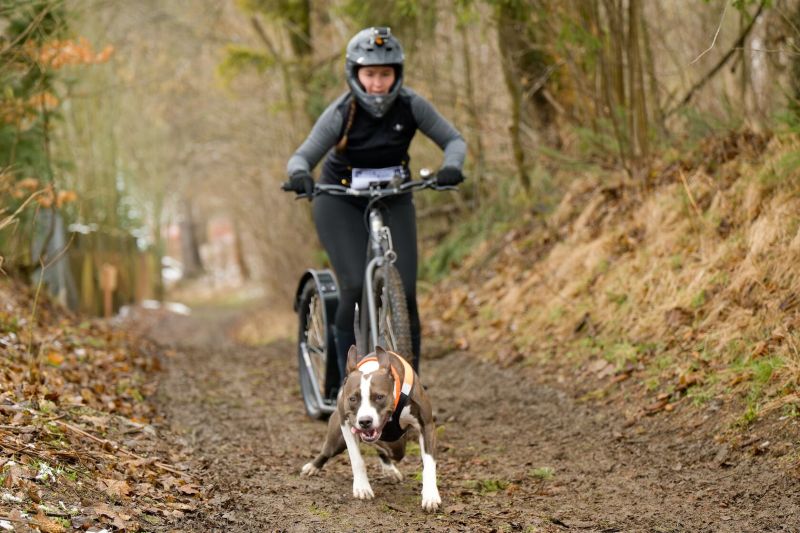 Koloběžka Kostka Mushing Racer Max