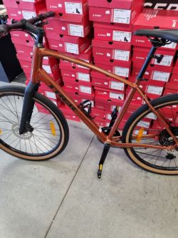 Trek Dual Sport XL