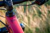Scott Genius Contessa 910