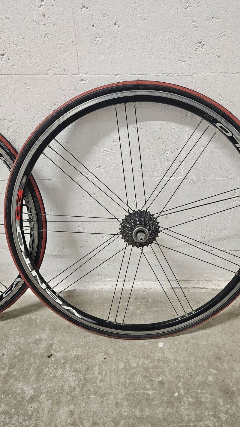Campagnolo VENTO G3