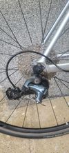Canyon endurace wmn al 6.0