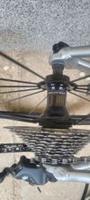Canyon endurace wmn al 6.0