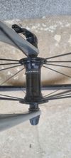 Canyon endurace wmn al 6.0