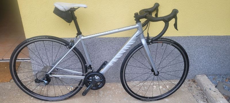 Canyon endurace wmn al 6.0
