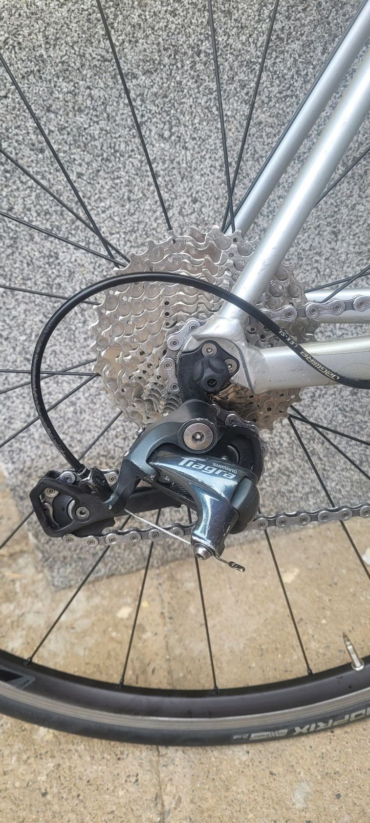 Canyon endurace wmn al 6.0