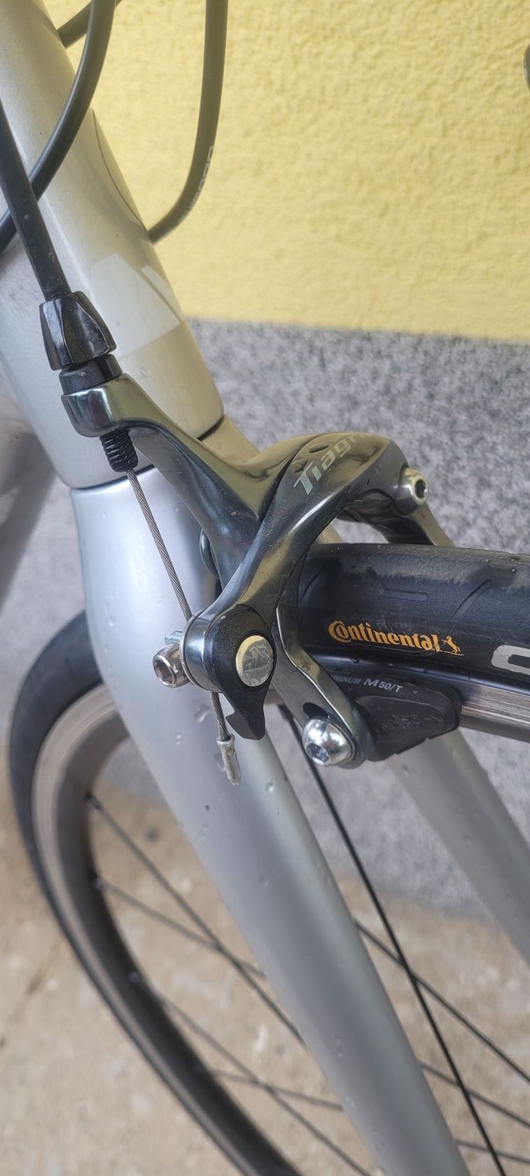 Canyon endurace wmn al 6.0