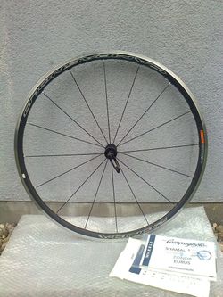 Campagnolo Zonda C17 