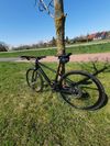 Canyon Roadlite WMN AL SL 8.0