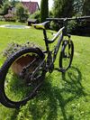 Haibike q.xc 705