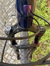 Trek Procaliber 9.6 Blue Carbon Horské kolo