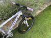 Scott Contessa "S" 26"