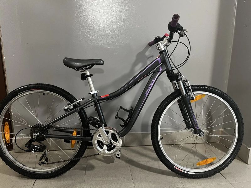 Specialized Hotrock 24