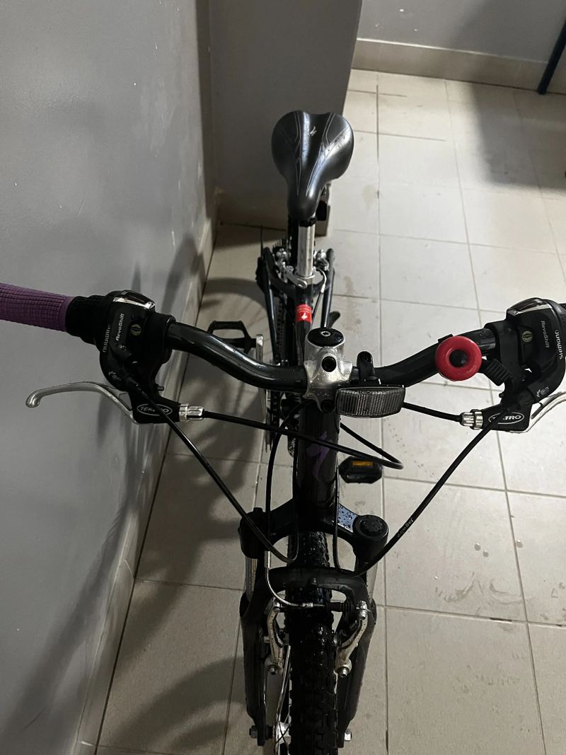Specialized Hotrock 24