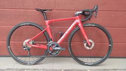 Guerciotti veloce velikost - XS