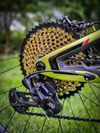 Pivot Switchblade
