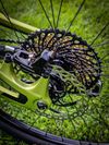 Pivot Switchblade
