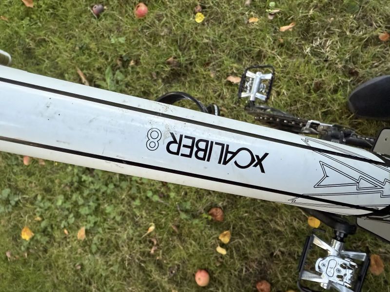 Trek xcaliber 8