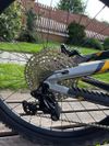 Intense Tazer MX